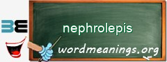 WordMeaning blackboard for nephrolepis